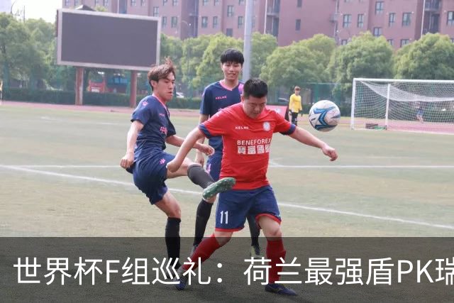 世界杯F组巡礼：荷兰最强盾PK瑞典犀利刀 日本短板明显