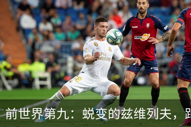 前世界第九：蜕变的兹维列夫，距离世界第一只差一步