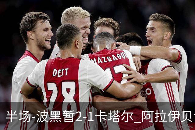 半场-波黑暂2-1卡塔尔 阿拉伊贝戈维奇世界波破门哲科造乌龙