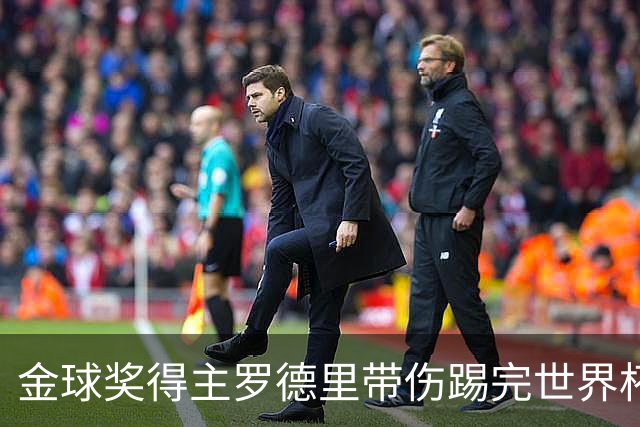 金球奖得主罗德里带伤踢完世界杯将手术，曼城新赛季开局告急