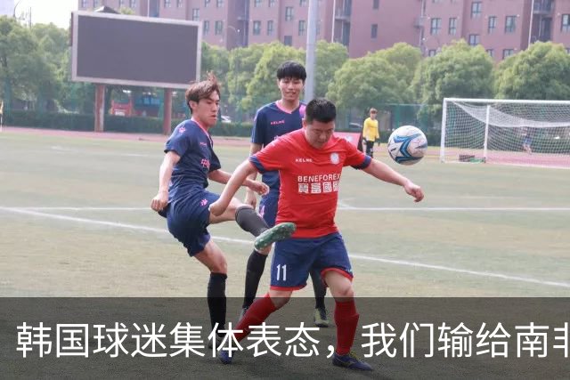 韩国球迷集体表态，我们输给南非，是因为中国国足坑了我们