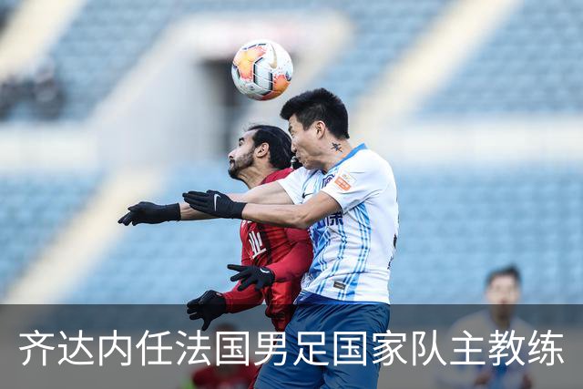 齐达内任法国男足国家队主教练